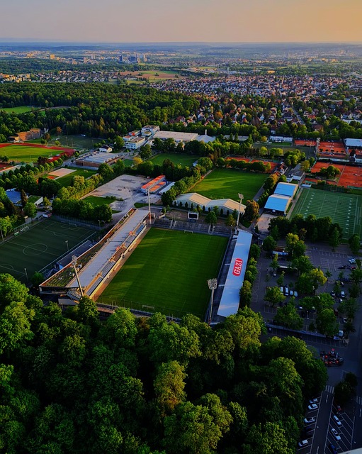 而瓦妮莎 而瓦妮莎