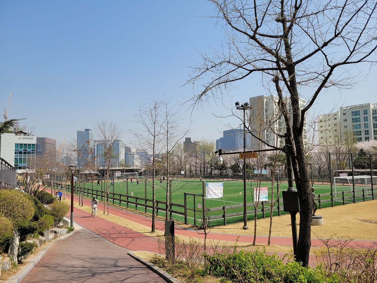 干扰对手的 干扰对手的