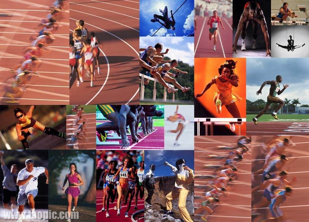 英超的多支 英超的多支