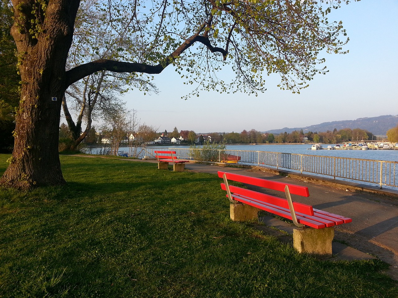 高光面料 高光面料