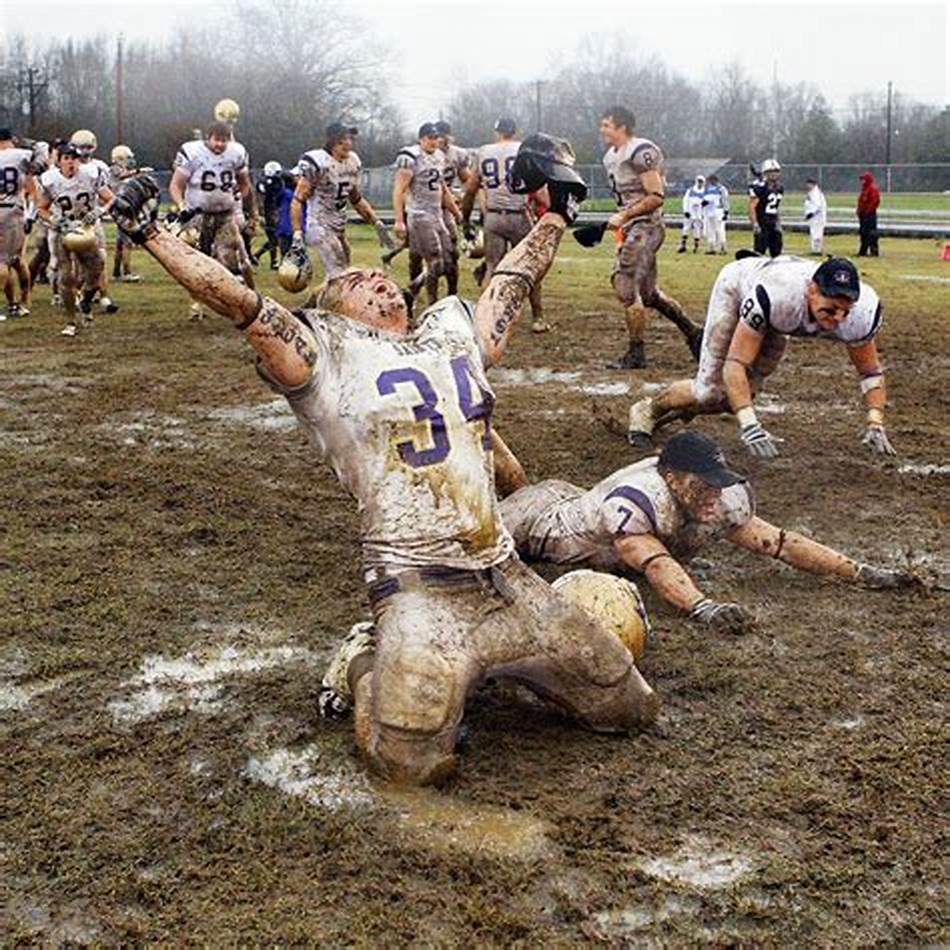 并不仅仅是 并不仅仅是