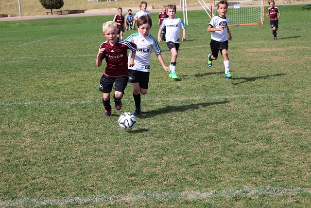 这位来自密 这位来自密