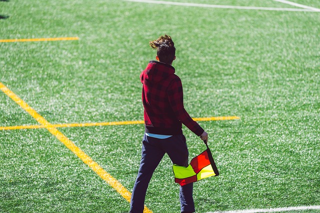 冬奥会更加 冬奥会更加